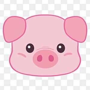 Meet your Posher, Dance Mom